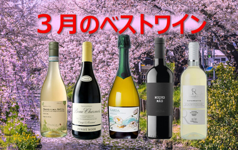 今月のベストワイン